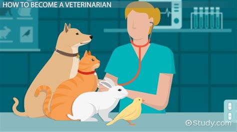 How To Become A Veterinarian Education And Career Roadmap