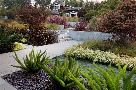 Modern Dry Garden Sue Oda Landscape Architecture