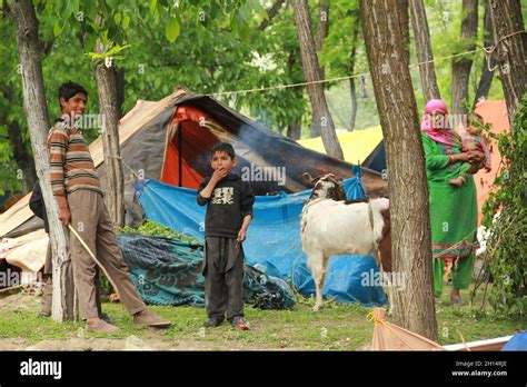 People Living In Tents Pakistan Stock Photo Alamy