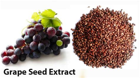 These include the treatment of conditions such as high cholesterol , atherosclerosis , macular degeneration. Grape Seed Extract and Depression - Care Foundation
