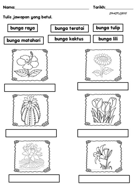Lembaran Kerja Bahasa Melayu Prasekolah Tema Bunga Lembar Kegiatan