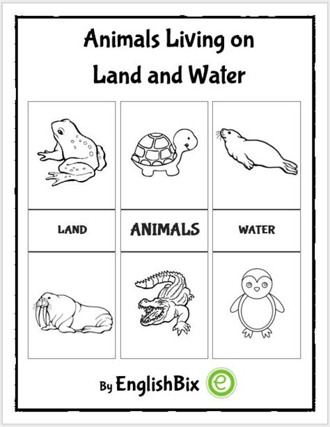 Animals That Live On Land And Water Worksheets Englishbix
