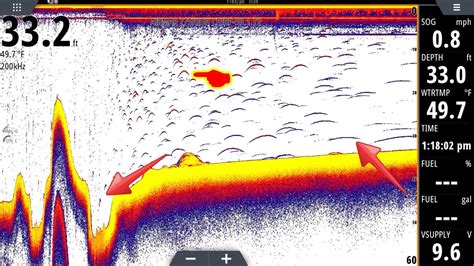 Sonar Explained SCREENSHOT BREAKDOWN Finding Fish On Plane YouTube