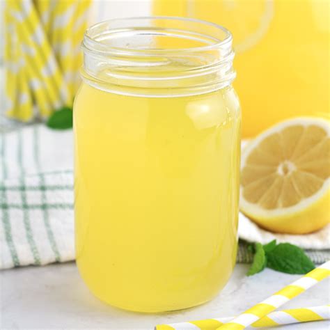 Yummy Frozen Lemonade Borrowed Bites