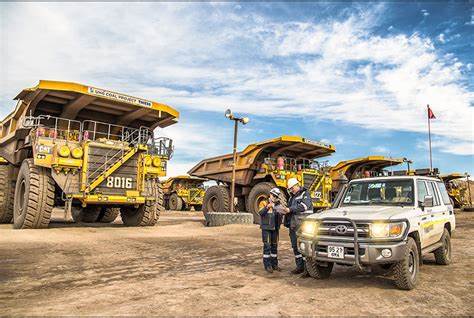 Энержи диет фото