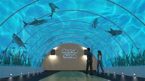 Aquarium Museum Behance