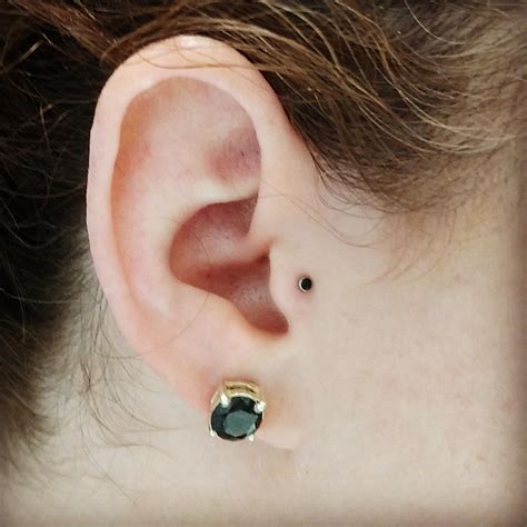 I Got My Tragus Pierced Last Week Im Obsessed With It Picture From