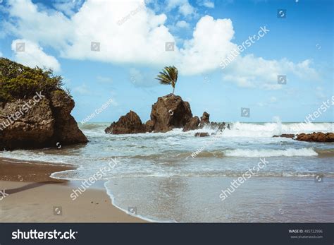 Tambaba Beach Official Naturistnudist Beach Brazil Shutterstock