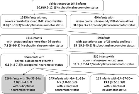 Neurological Assessment Of Preterm Infants For Predicting Neuromotor