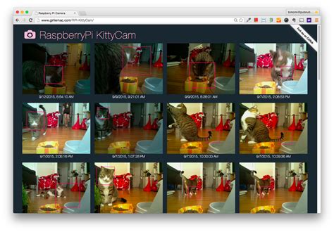 Kittycam Building A Raspberry Pi Camera With Cat Face Detection In
