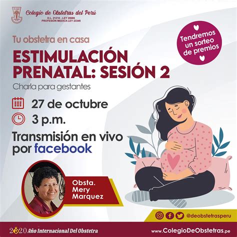 EstimulaciÓn Prenatal SesiÓn 2 Colegio De Obstetras Del Perú