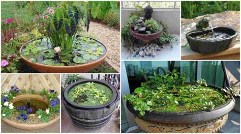 I have been told that i need pond liners with different levels because aquatic plants need to be planted at different depths. Mini pond for balcony - 24 suggestions for design - Diy Fun World