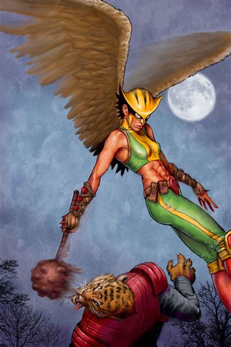 Comicbookwomen Hawkgirl Dc Comics Art Dc Superhero Characters