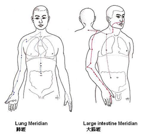 According to the traditional chinese description large intestine meridian is a yang channel, associated with the element metal and possesses interior and exterior relationship with the lung meridian. Itchy Anus and Chinese Medicine