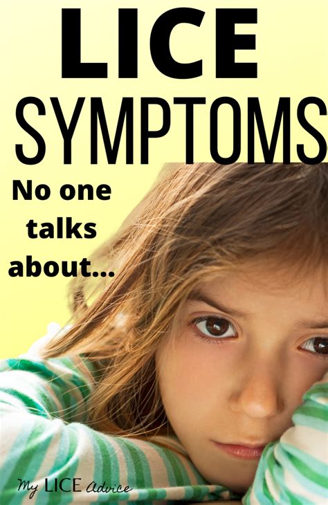 17 Lice Symptoms With Pictures Signs That You Have Head Lice Head