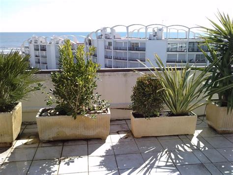Le choix d'une végétation à caractère méditerranéenne répondait aux contraintes de cette grande terrasse fortement exposée au soleil et au vent. Photo AMENAGEMENT D'UNE TERRASSE : JARDINATUR, L'ESPACE VERT