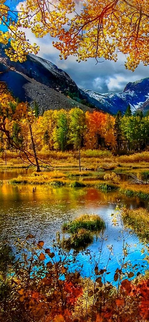 Mountain Autumn Iphone Se Free Download