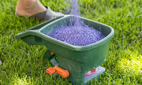 We are impressed with how quickly pet safe lawn fertilizer nourished our sparse, stained. Best Lawn Fertilizer Safe For Pets | Cromalinsupport