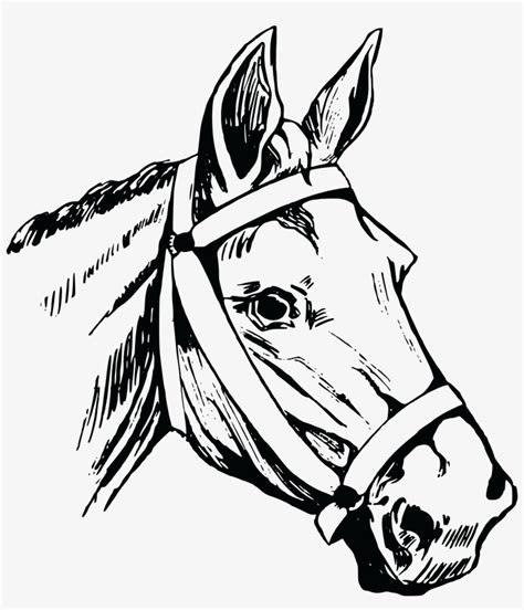 870 Free Clipart Of A Horse Head Horse Head Illustration Png