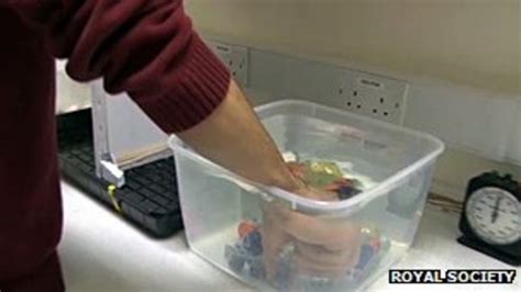 Science Puts Wrinkled Fingers To The Test BBC News