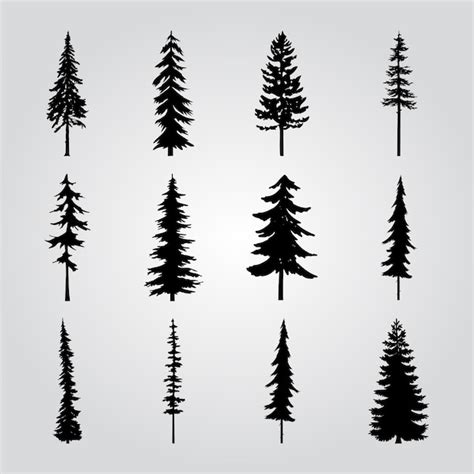 Black Pine Tree Vectors And Illustrations For Free Download Freepik