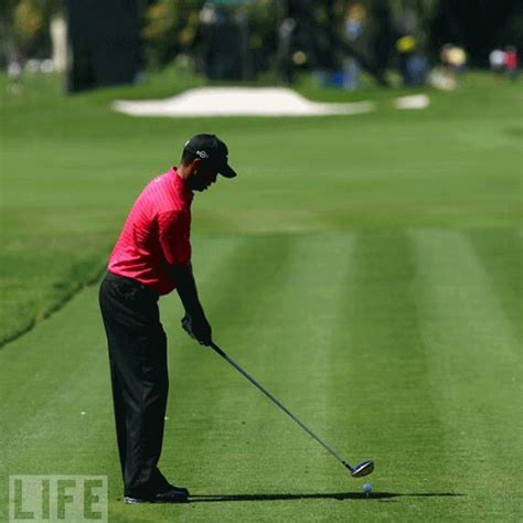 Tiger Woods Swing Sequence GIF Golf Aids Golf Clubs For Beginners