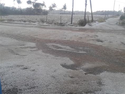 Photos It Is Snowing In Kenya Cyprian Nyakundi