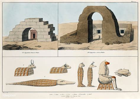 Egyptian Arches Existing In Thebes And Several Animal Mummies