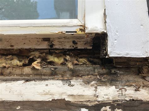 How To Replace Rotten Window Frame Home Improvement Stack Exchange