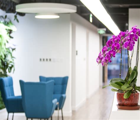 Biophilia Why Plants Can Make Your Workplace Blossom