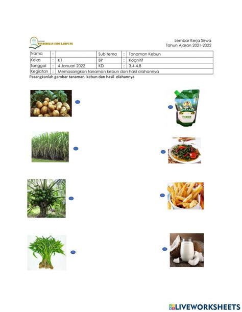 Menarik Garis Pada Gambar Interactive Worksheet Live Worksheets