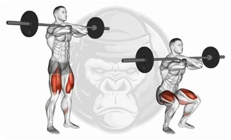 The 10 Best Barbell Exercises Updated 2023 Jacked Gorilla