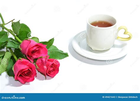 Tea Cup Of Love And Pink Roses Stock Image Image Of Card Celebration 49421643