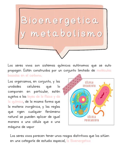 Resumen Bioenergetica Y Metabolismo B I O E N E R G E T I C A Y M E T