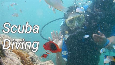 Scuba Diving Scuba Diving In Tamil Scuba Diving In Havelock Island