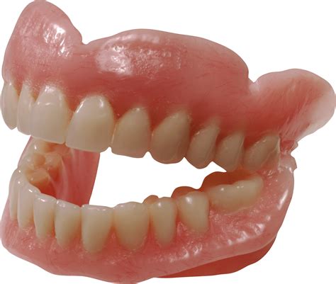 Dentes Png Transparente Stickpng