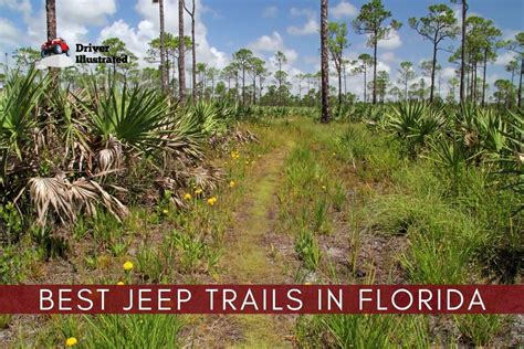 The 9 Best Off Road Jeep Trails In Florida Driver Illustrated