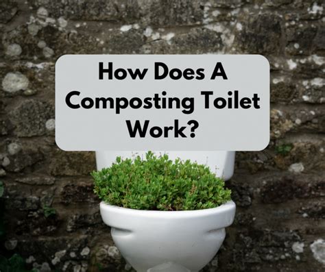 How Does A Composting Toilet Work Pick A Bathroom