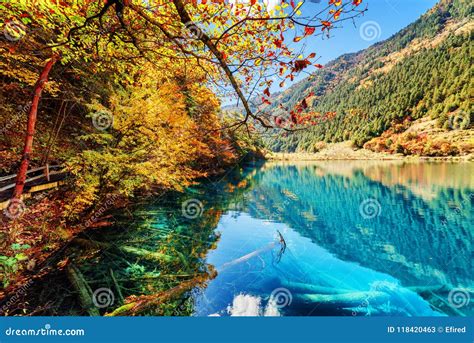 Amazing View Of Lake With Azure Water Among Colorful Fall Woods Stock