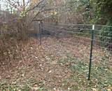 Pictures of Wire And Wood Fencing