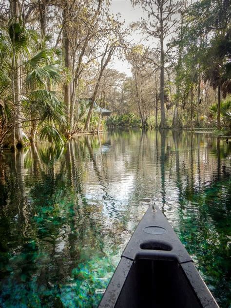 Silver Springs State Park A Uniquely Wild Florida Experience A