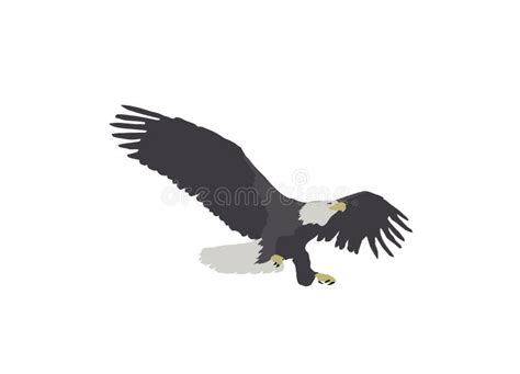 Eagle Landing Stock Illustrations 622 Eagle Landing Stock