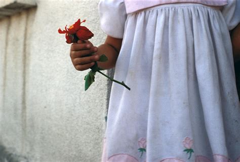 Girl Holding Flower Photograph By Mark Goebel Fine Art America