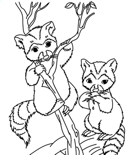 Top 25 Free Printable Wild Animals Coloring Pages Online Momjunction