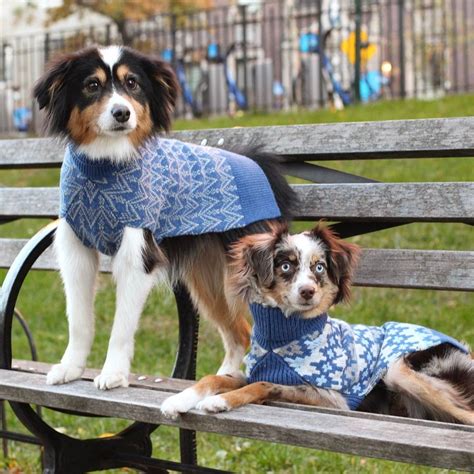 The Best Dog Clothing Brands For Stylish Pet Clothes Dog Clothing