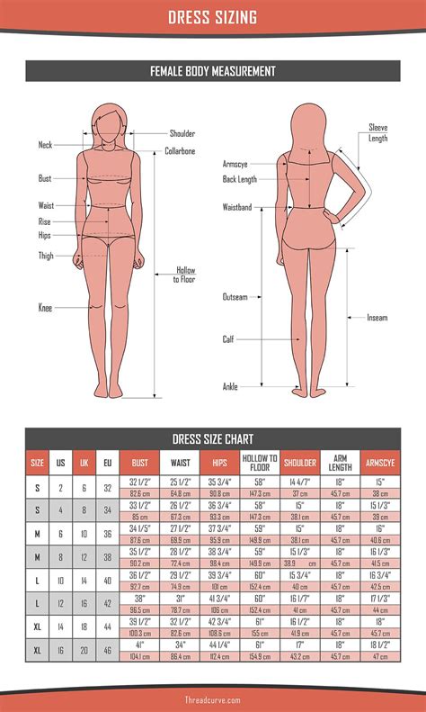 Detailed Dress Size Chart Regular Plus Size And Petite Size Dresses