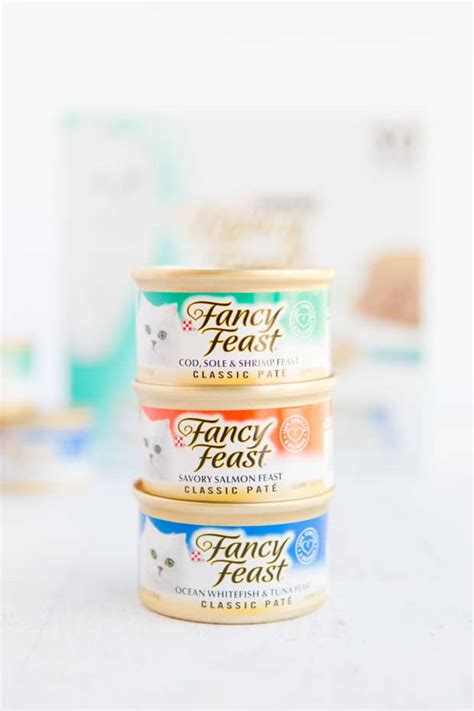 Heart to tail and pure being are our most popular pet essentials brands that put your cat's health and happiness at the forefront. Easy Homemade Cat Treats - Spaceships and Laser Beams