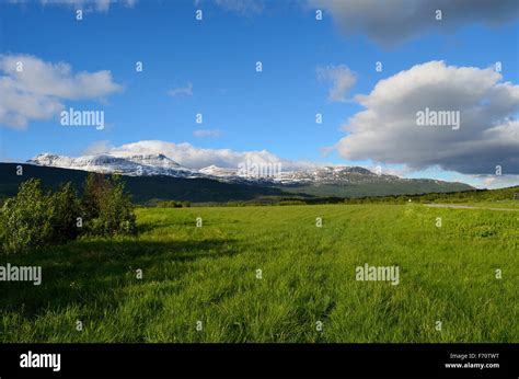 Green Pasture Snowy Mountain And Blue Sky Stock Photo Royalty Free