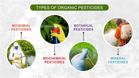 Types Of Pesticides Used In Farming Importance And Benefits