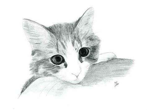 Cartes postales d art felines dessin chat facile illustration. Dessin Chaton